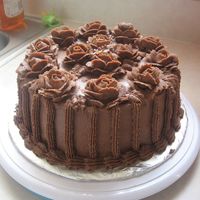 Chocolate Cake This is a cake I made for my nephew's b-day. He loves chocolate and wanting to practice my decoratings Wilton 1 skills, I made this...