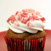 Gingerbread Cupcake Gingerbread cupcake with buttercream and peppermint candy topping