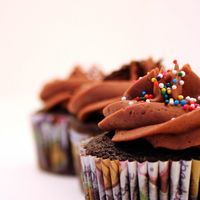 Chocolate Mocha Cupcake Chocolate cake, chocolate buttercream frosting with espresso