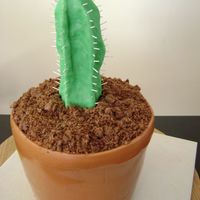 Cactus Cake Made this cake for my birthday. Cactus is gumpaste with cake decorating wire for the spikes. Dirt is crumbled chocolate biscuits. Cake is...