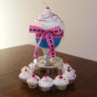 Giant Cupcake Cake This cake was made for my stepmother for her birthday. It is lemon pound cake with raspberry chambord curd and white choclate butter cream...