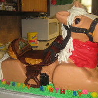 Pony Cake it was 23 in long and 13 in. wide and 19 in. to the top of his head i made it for my niece..