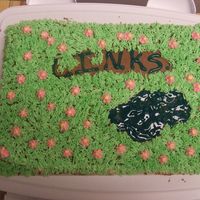 Spring Links Class This is a white cake with chocolate buttercream icing. I made this for a L.I.N.K.S. Class (teached new Marine Wives about military life).