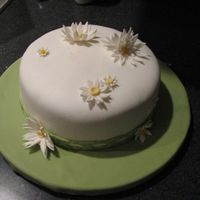 My First Fondont Cake! 