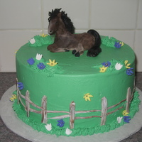 Horse Love Made for a little girl who loves horses. Horse is made out of modeling chocolate