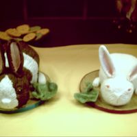 Two Little Bunnies my darling daughters birthday cake =carved and fondant covered