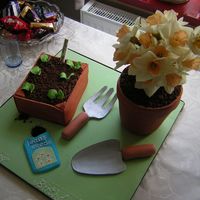 Gardening Birthday Cake For Great Grandma all edible except the flowers which were real daffodils! chocolate cake flowerpot covered in fondant and choc seed tray with fondant '...