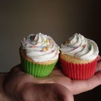 Vanilla Cupcakes Vanilla Cupcakes with Buttercream Dream Icing.