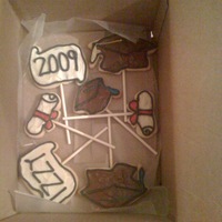 Graduation 2009 Sugar cookies. Candy melts used to fill and royal icing outline. For the colors I used the ready made cookie icing.
