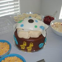 Baby Noah This is the and baby bottom cake I have done, the baby's name is Noah, and so his theme is Noah's Ark. I made the candy animals...