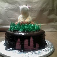 Giraffe Six Layer Raspberry-Laced Vanilla Cake covered in a Dark Chocolate Ganache. Grass was made with royal icing. Giraffe is a small plush toy...