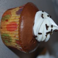 Chocolate And Vanilla Cupcake 