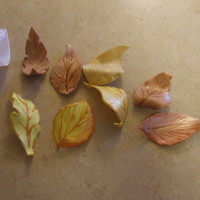 Leaves For Cake 