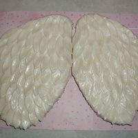 Angel Wings 