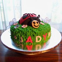Ladybug Torted strawberry for the 10" base filled with strawberry buttercream. Covered in buttercream with the grass tip. Flowers are royal...