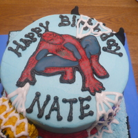 Spiderman And 'friends' After making several cakes for a coworker, her 24 year old brother complained that he had never gotten a "special birthday cake&quot...