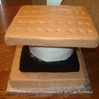 Smore My Niece wanted a smore cake for her outdoor Birthday Party. After eating the cake they got to make real smoore over the fire in the...