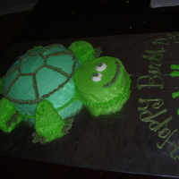 Turtle 