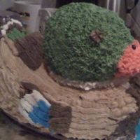 Duck Cake Chocolate cake with buttercream filling and icing. For my BIL, decided at the last min to make it last night. DH had to travel with it all...