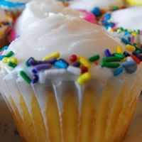 Sprinkled Cupcakes! Cupcakes made just for fun!