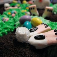 Bunny Bums this is from the Hello cupcake book, I couldnt find the white circus peanuts, so i substituted pink and white cola bottles!