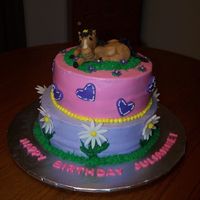 Horse Cake This cake is the first time I decorated using buttercream. I thought I would try the Viva paper towel method. After watching some Youtube...