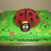 Ladybug Lady bug is cake covered in buttercreme and fondant dots and head