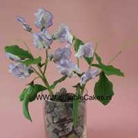 Lathyrus Made these Lathyrus during a workshop with Madhuri, it is incredible to see such flowers growing during a day.. The English word for...