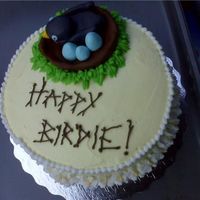 Spring Birthday Iced in BC, 9yr old daughter made the robin, eggs and nest from fondant for her Grandma's cake! (Robin's are grandma's fave...