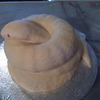 Dolce The Albino Burmese Python I made this as a birthday cake for my uncle. First attempt at anything like this, so I was happy with the outcome!