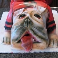 Georgia Bulldog First sculpted cake, took me hours, but I enjoyed it. Red velvet cake, about 5 or 6 1/4 sheets total