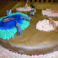 Mia's African Safari Cake 