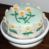 Daisies And Fence This was my third cake and a welcome for a friend who had been gone for the summer. Red velvet covered in fondant. The flowers are all...