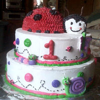 Ladybugs First Bday They call my neice ladybug seen this cake here on CC thought it was so fittingit is a white cake colored pink & all bc except for the...