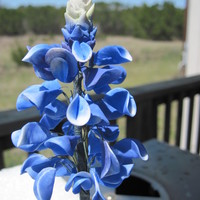 2Nd Attempt At Bluebonnet 