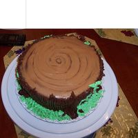 Tree Stump Cake For Forester going away party at work, from CC ideas, THANKS!!