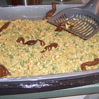 Yes Its Cake I know its gross, but the individual's husband hates cleaning out the liter box and rants over it constantly, she thought oh what a...
