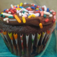 Birthday Chocolate Cupcake With Sprinkles birthday chocolate cupcake with sprinkles
