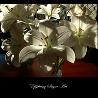 Lily I bought a bunch of Lilies a few months back, they smelled so sweet and were just so lovely that I couldn't resist trying to make one...