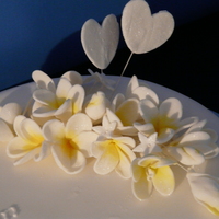 Frangipani Engagement Cake Round with fondant and gumpaste frangipanis (plumerias) for my son's Engagement.