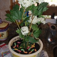 Dirt Cake First time making this and it came out really cute
