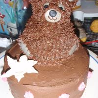 Teddy Bear Cake bc, star tip, Royal lily,