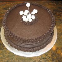 Chocolate Cake 