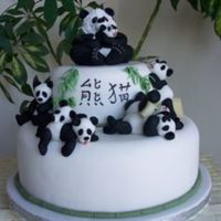 Save The Panda Another laid back group of animals enjoying their favourite treat.An ideal fund raising cake
