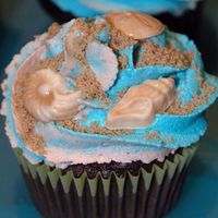 Beach Cupcakes Two dozen chocolate fudge cupcakes, iced with 2-tone buttercream icing and sprinkled with brown sugar. I also made white-chocolate/peanut-...