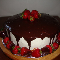 Tuxedo Cake I also made is cake for my brother's b-day. Chocolate cake, whipping cream, and ganache on top of the cake. Very delicious....