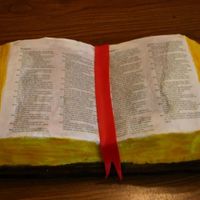 My First Bible Cake This is the first sculpted cake. Gives new meaning of eating the word LOL.