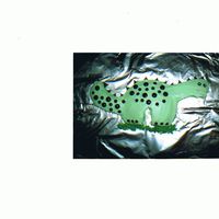 1St Kids Cake dinosaur cake