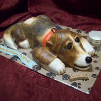 Buddy, The Dog One of our first carved cakes. Made to look like the owner's dog. It was a surprise from her husband and daughter and she never cut...