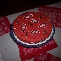 Bandana Cake Cakes made to go with Western Themed 2 year old Birthday party.
